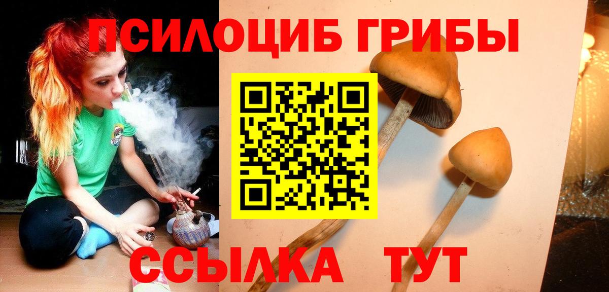 Псилоцибиновые грибы мухоморы  Вход с VPN  Дзержинск 